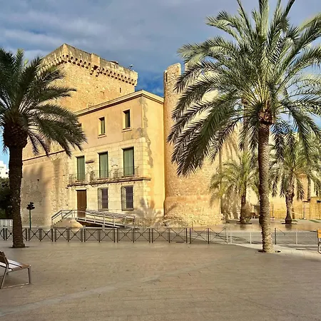 Sol Mediterraneo - Palm 2 Elche
